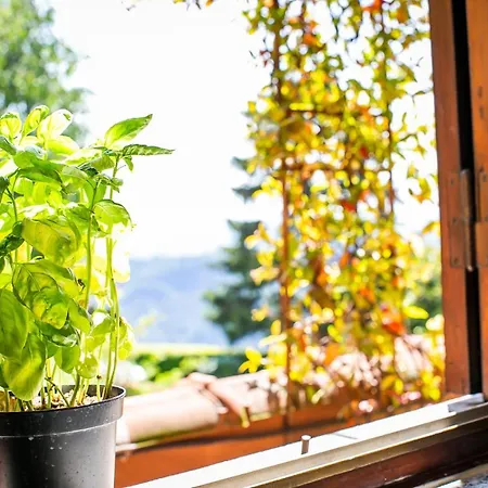 Casa Ortensia Lägenhet